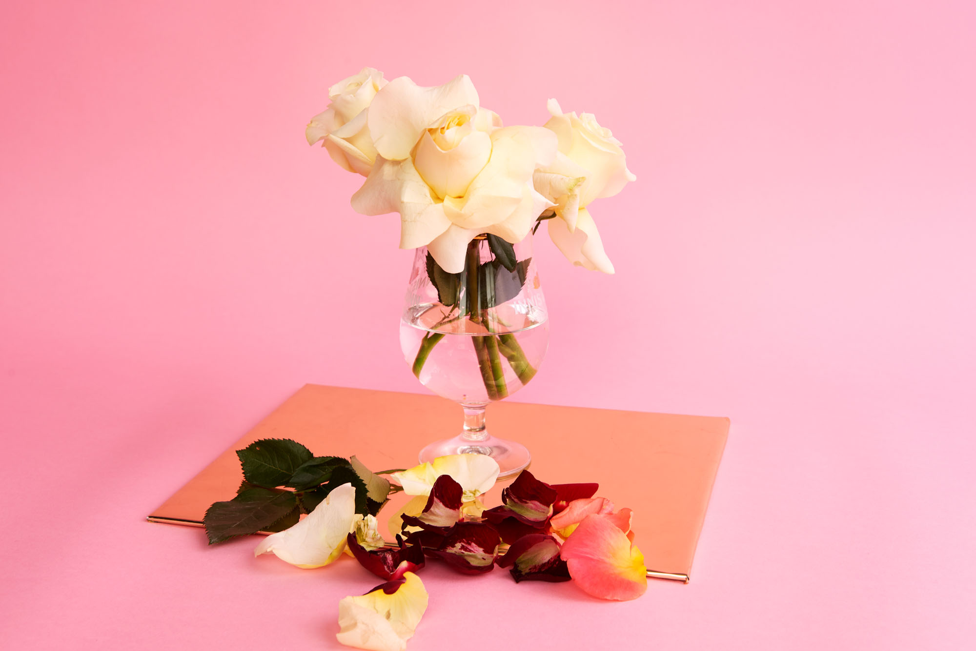 Cream Roses in pint glass